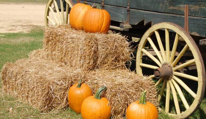 pumpkins next to bales of hay and a wagon