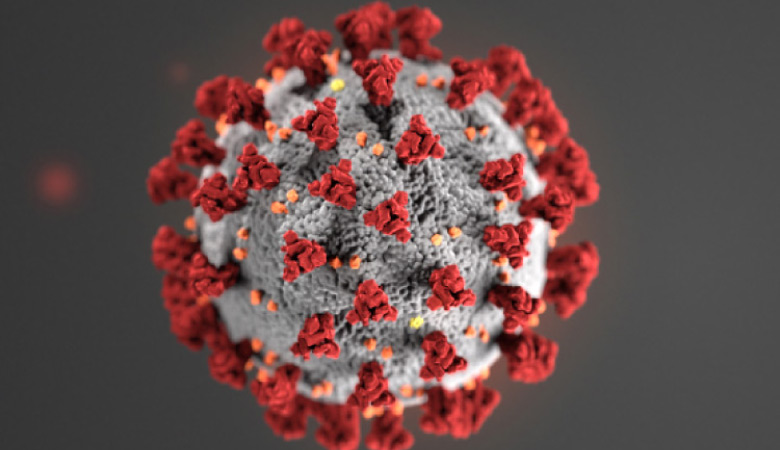 coroanavirus depiction